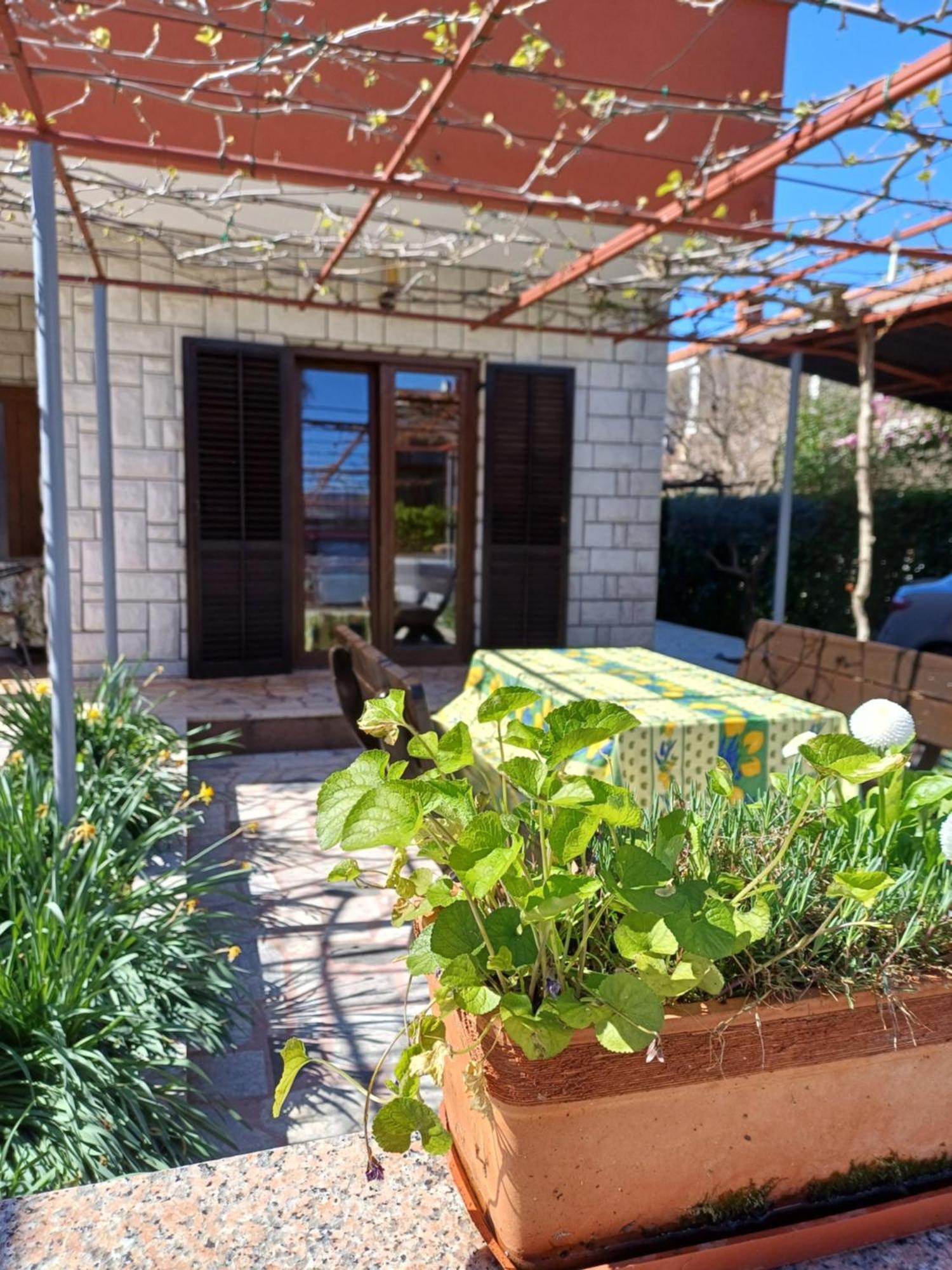 Apartments Grahovac Umag Luaran gambar