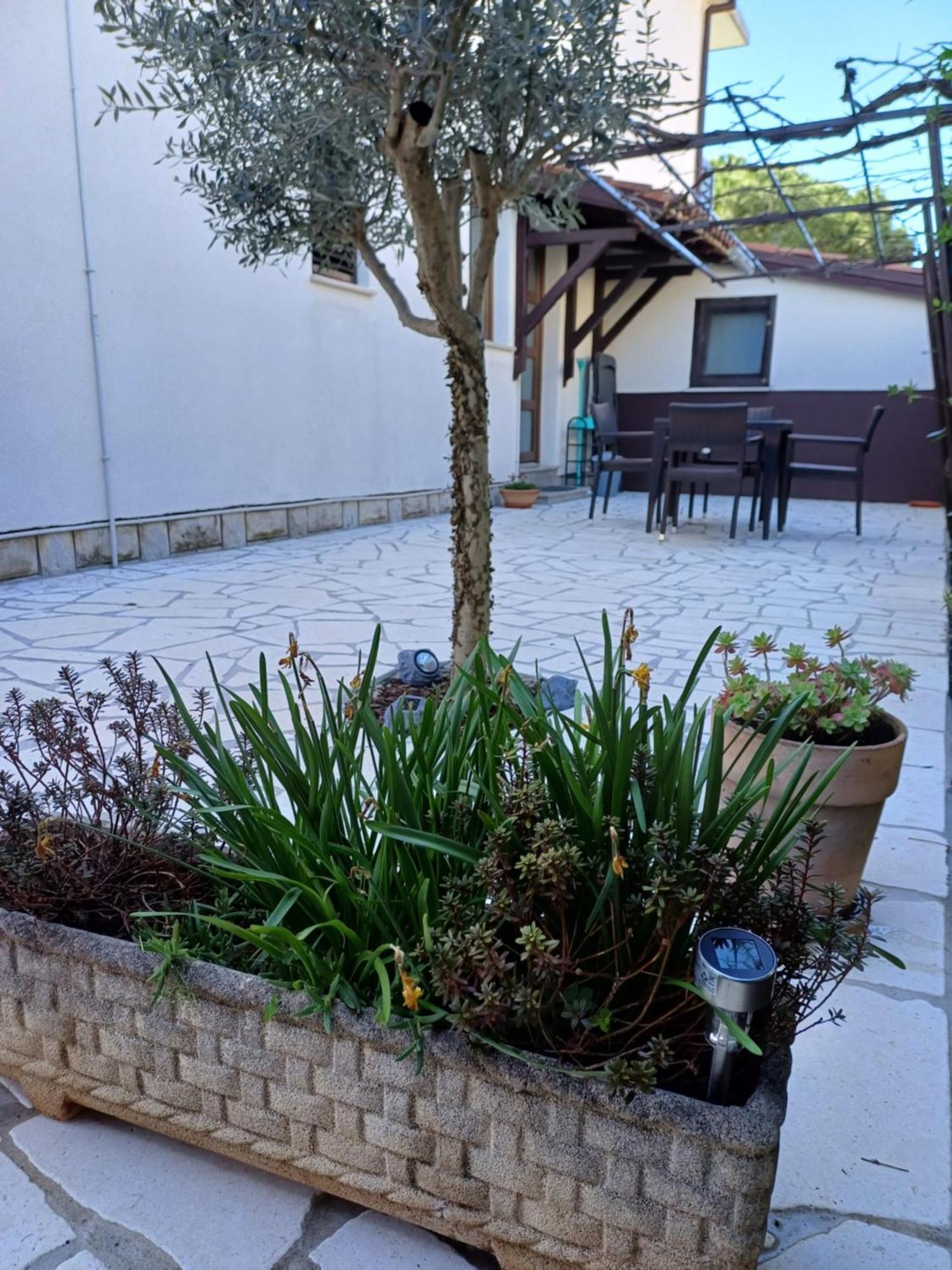 Apartments Grahovac Umag Luaran gambar