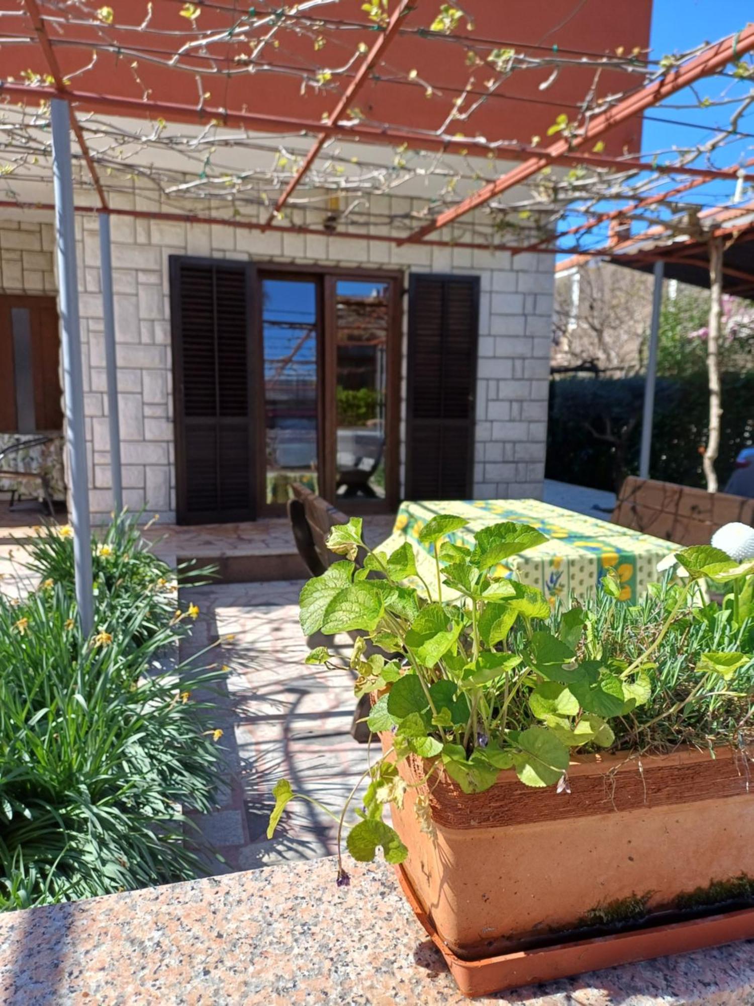 Apartments Grahovac Umag Luaran gambar